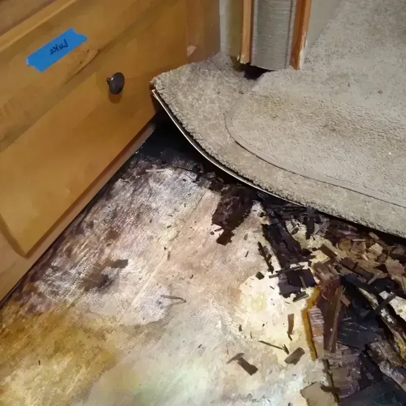 Best Wood Floor Water Damage Service in Chinle, AZ